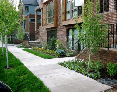 BROWN STONE ASPEN CORE