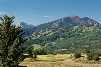 SOFT BANK SUNNY SIDE SOFT BANK SUNNY SIDE